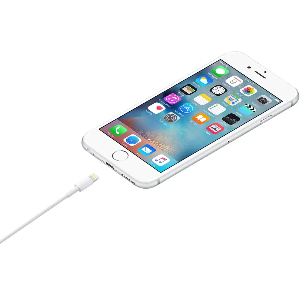 Mobiles :: Charger :: 1M APPLE USB-C TO LIGHTNING CABLE